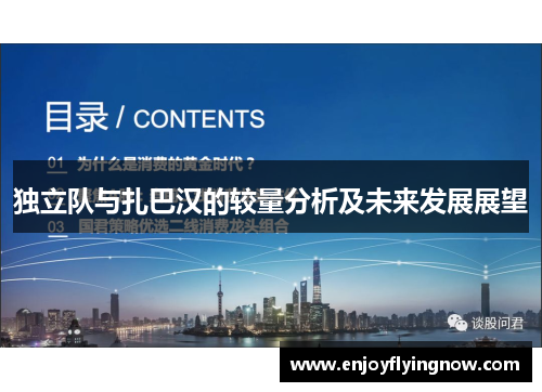 独立队与扎巴汉的较量分析及未来发展展望