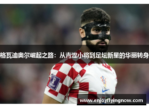 格瓦迪奥尔崛起之路：从青涩小将到足坛新星的华丽转身