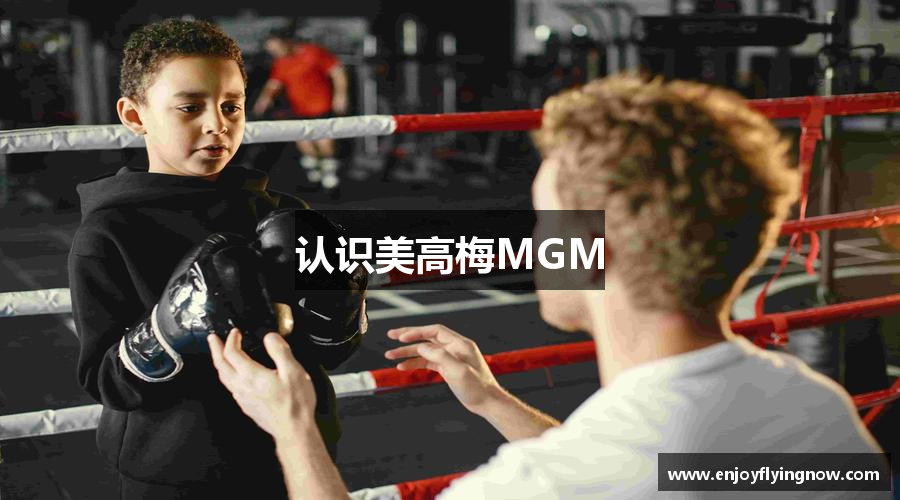 认识美高梅MGM